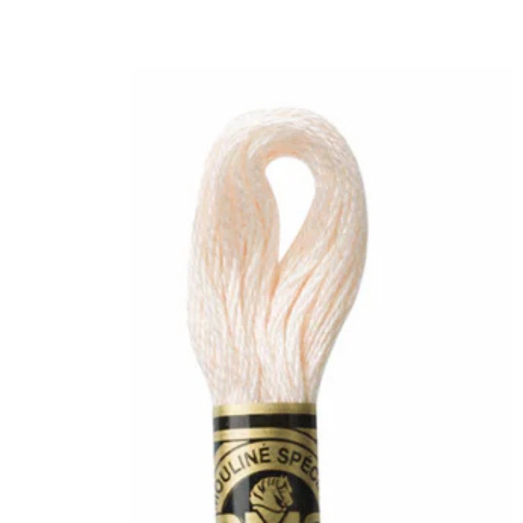DMC Stranded Cotton Mouliné Spécial Embroidery Thread (3770)