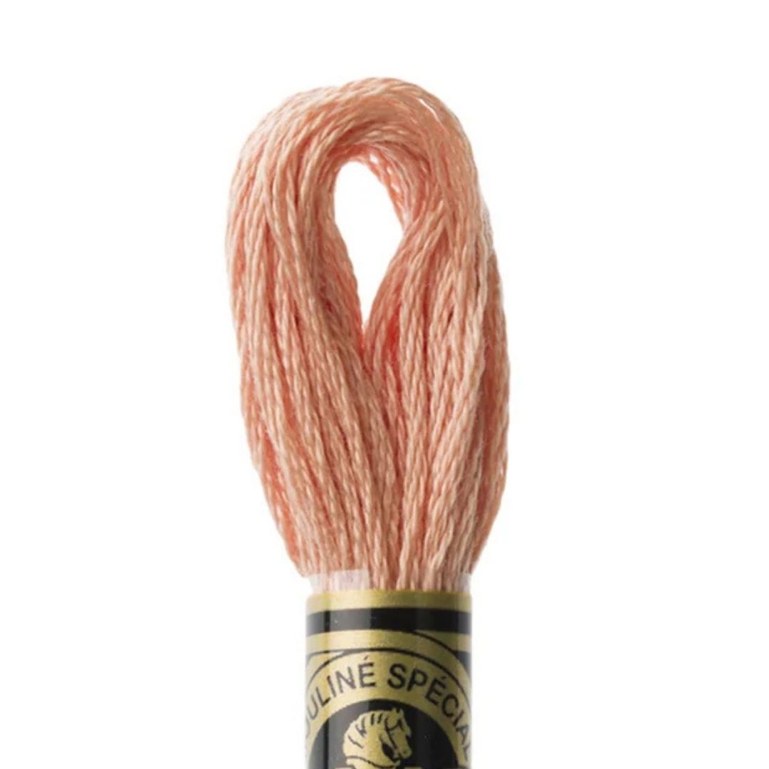 DMC Stranded Cotton Mouliné Spécial Embroidery Thread (3771)