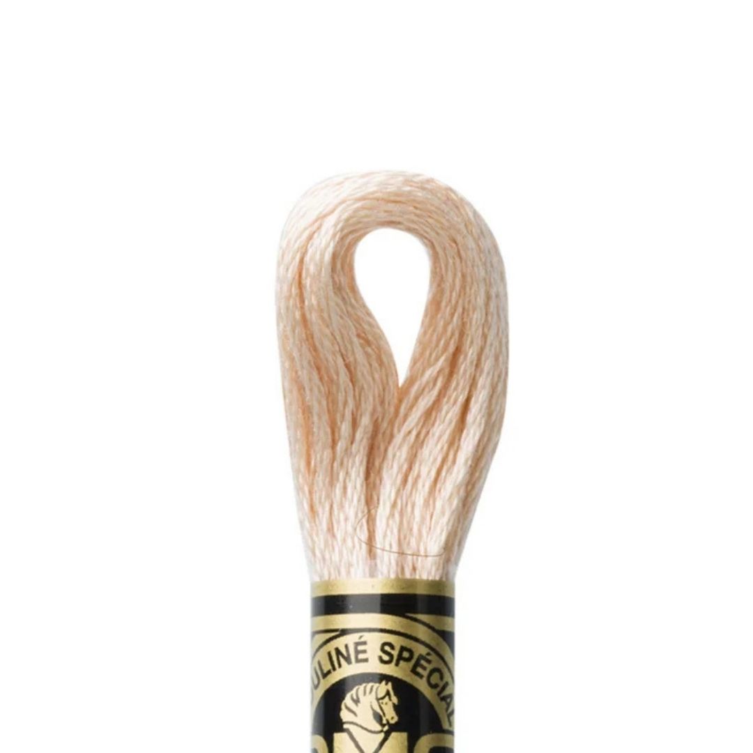 DMC Stranded Cotton Mouliné Spécial Embroidery Thread (3774)