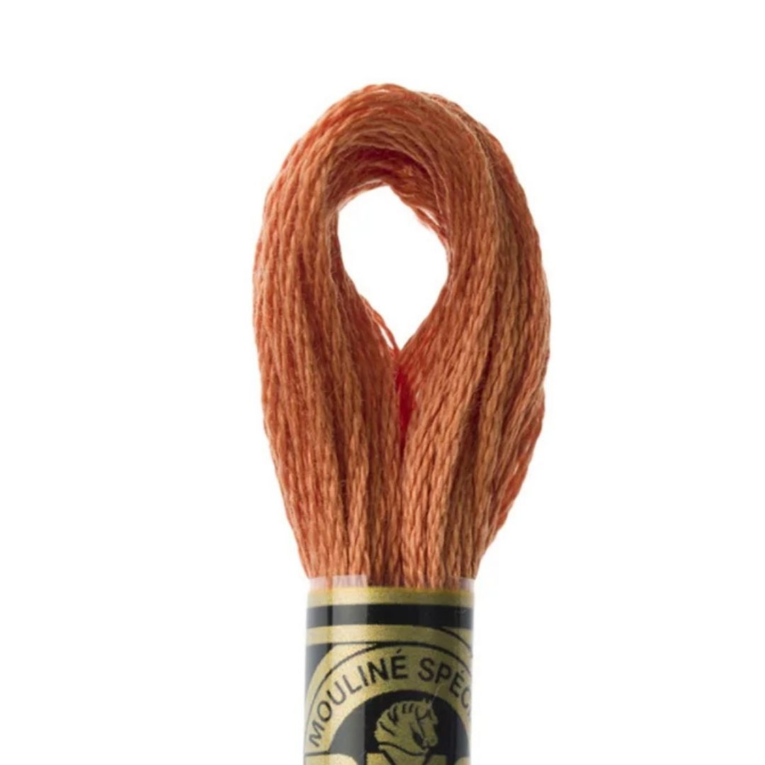 DMC Stranded Cotton Mouliné Spécial Embroidery Thread (3776)