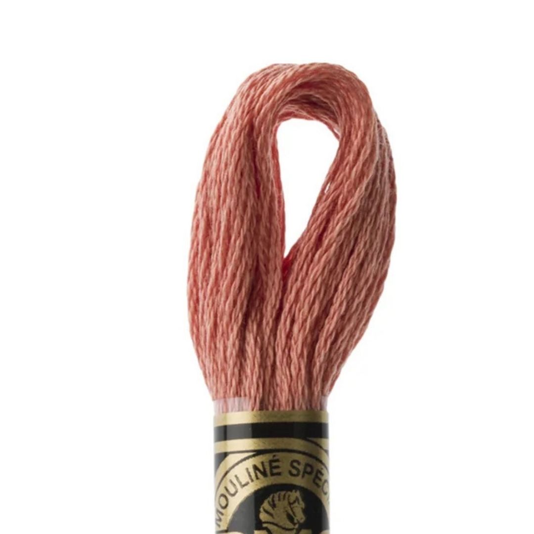 DMC Stranded Cotton Mouliné Spécial Embroidery Thread (3778)