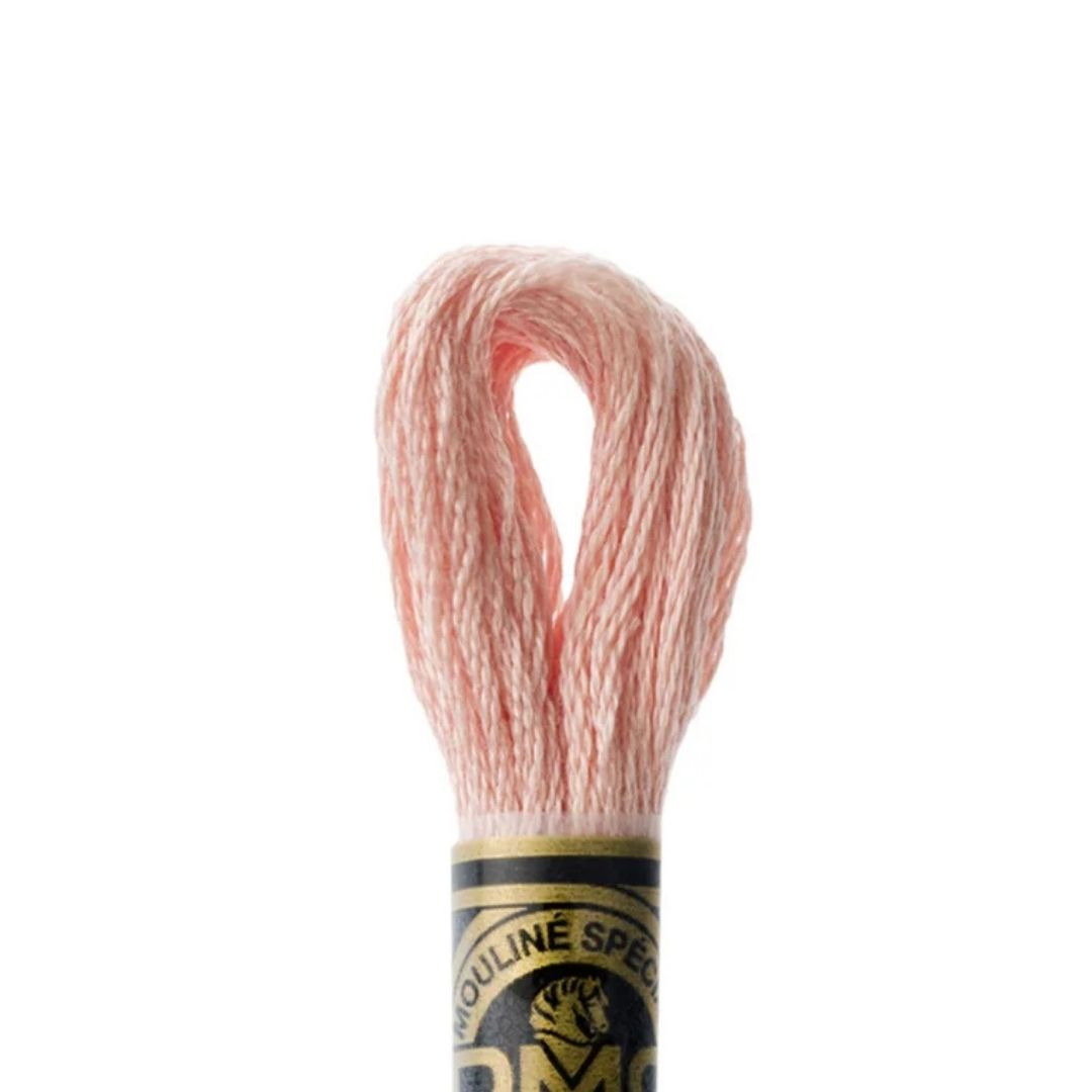 DMC Stranded Cotton Mouliné Spécial Embroidery Thread (3779)