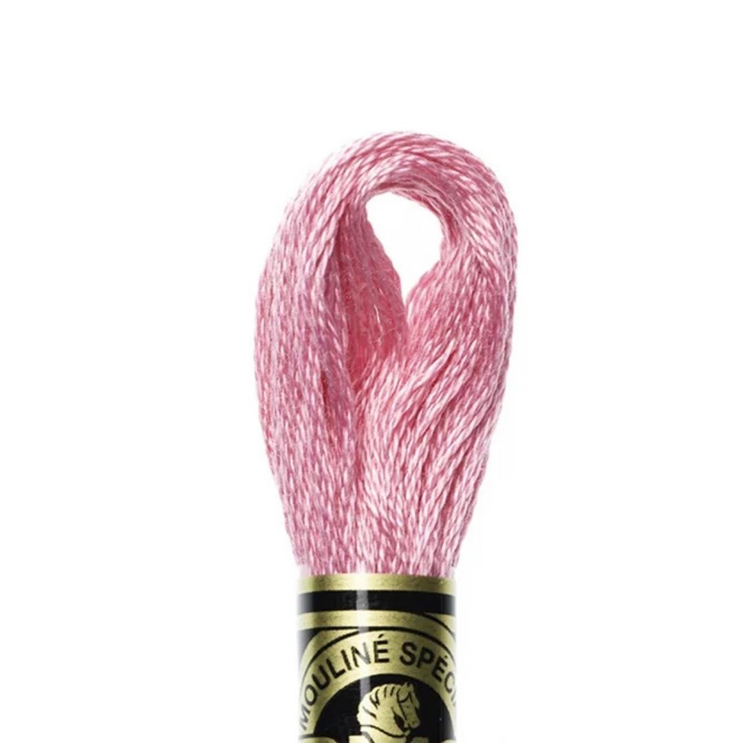 DMC Stranded Cotton Mouliné Spécial Embroidery Thread (3806)