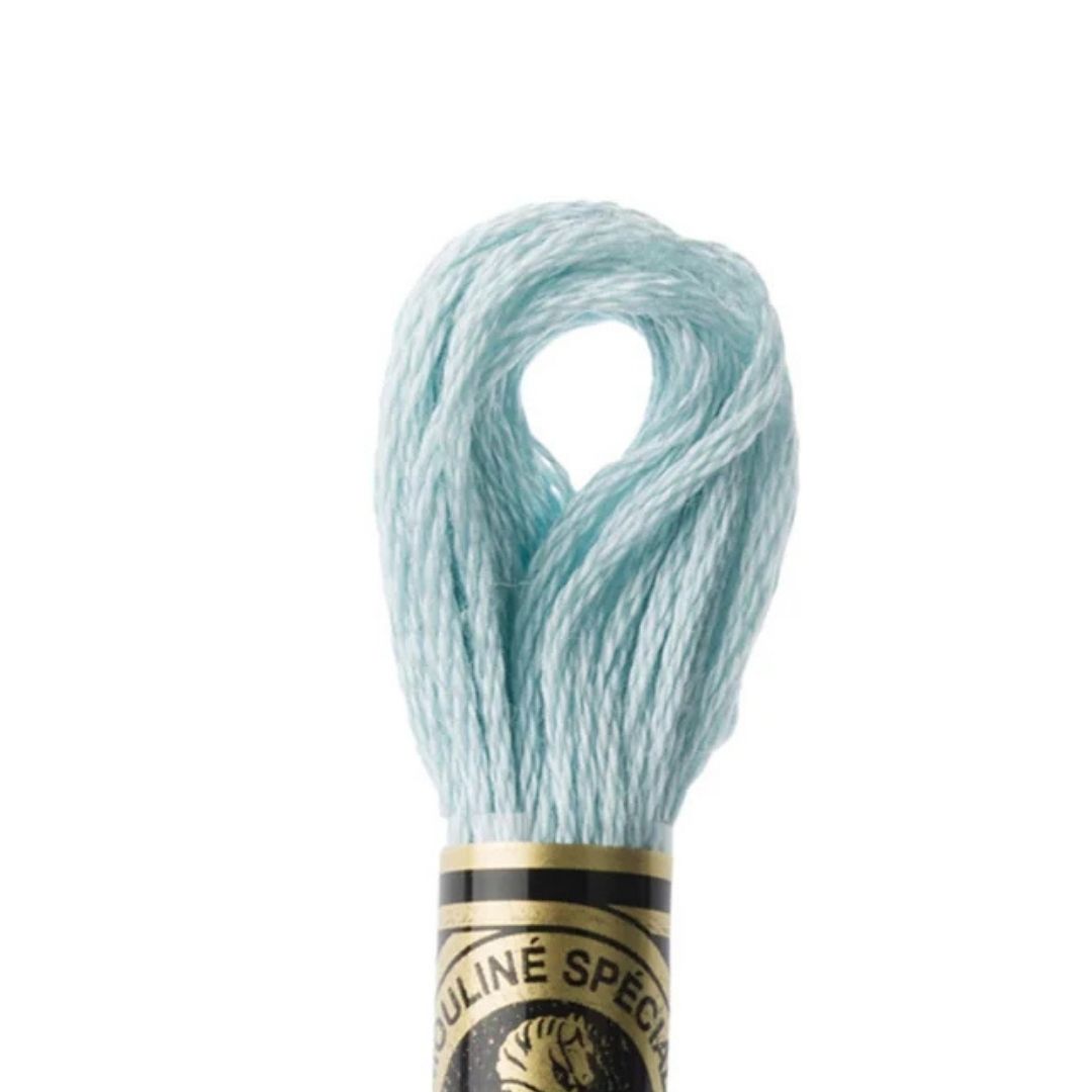 DMC Stranded Cotton Mouliné Spécial Embroidery Thread (3811)
