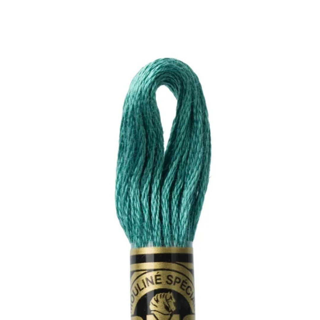 DMC Stranded Cotton Mouliné Spécial Embroidery Thread (3814)