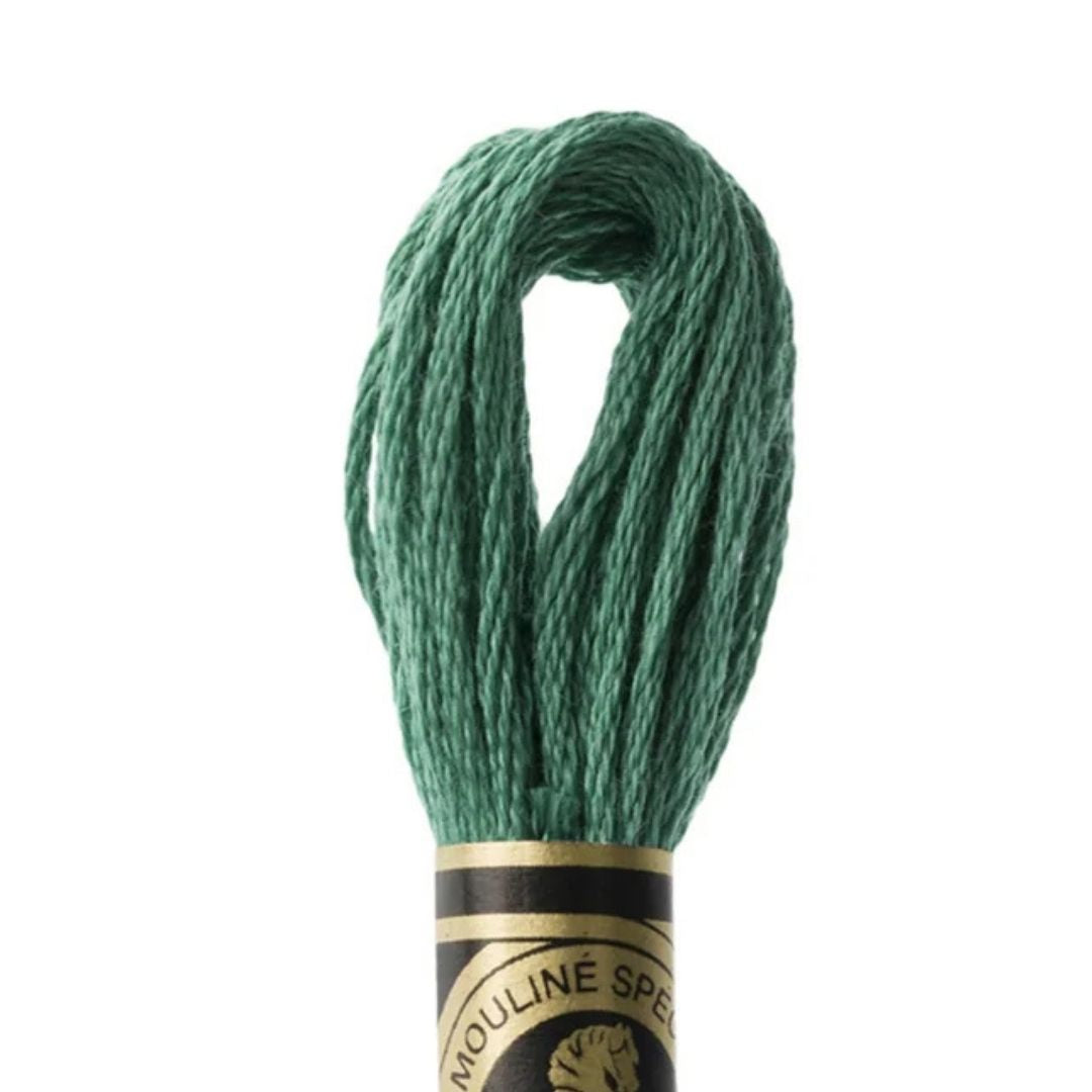 DMC Stranded Cotton Mouliné Spécial Embroidery Thread (3815)