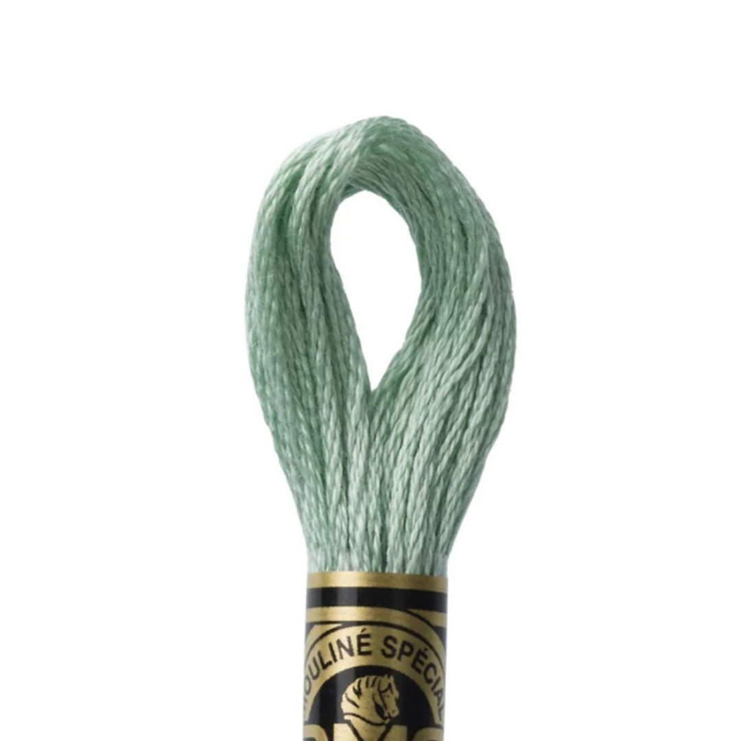 DMC Stranded Cotton Mouliné Spécial Embroidery Thread (3817)