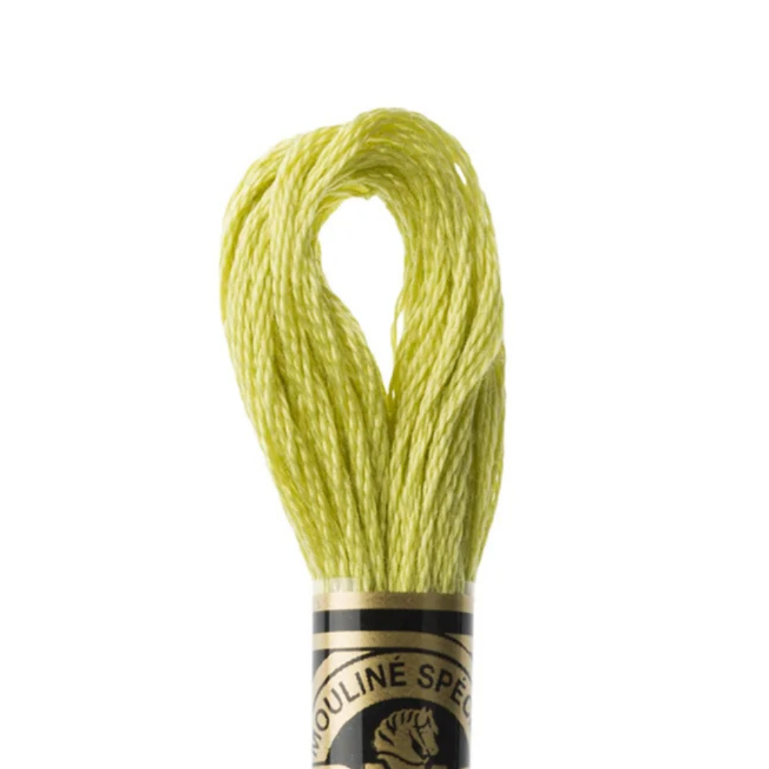 DMC Stranded Cotton Mouliné Spécial Embroidery Thread (3819)