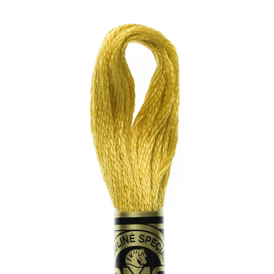 DMC Stranded Cotton Mouliné Spécial Embroidery Thread (3820)