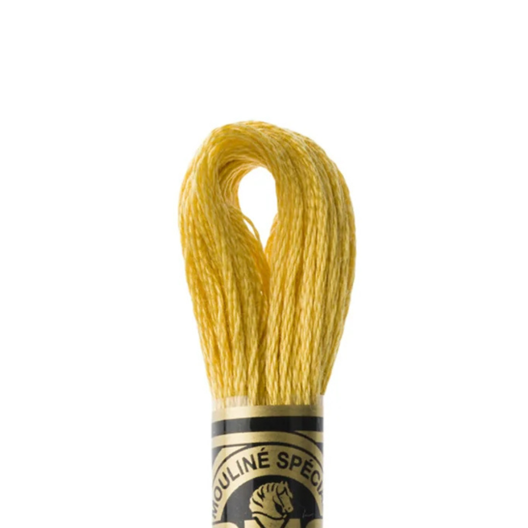 DMC Stranded Cotton Mouliné Spécial Embroidery Thread (3821)