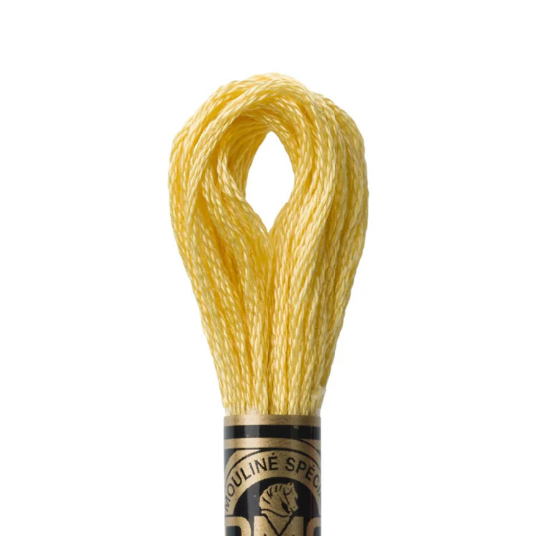 DMC Stranded Cotton Mouliné Spécial Embroidery Thread (3822)