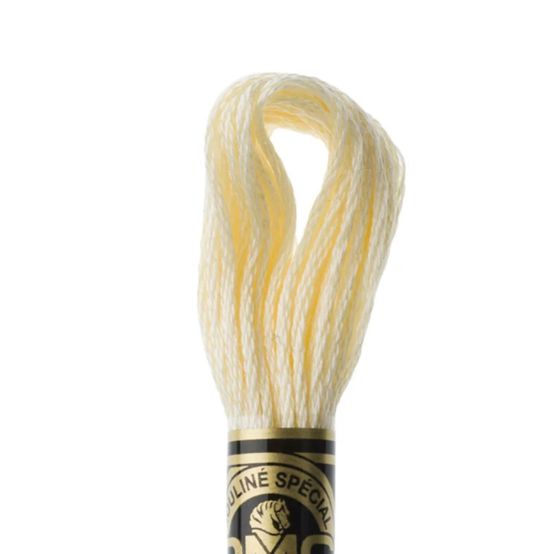 DMC Stranded Cotton Mouliné Spécial Embroidery Thread (3823)