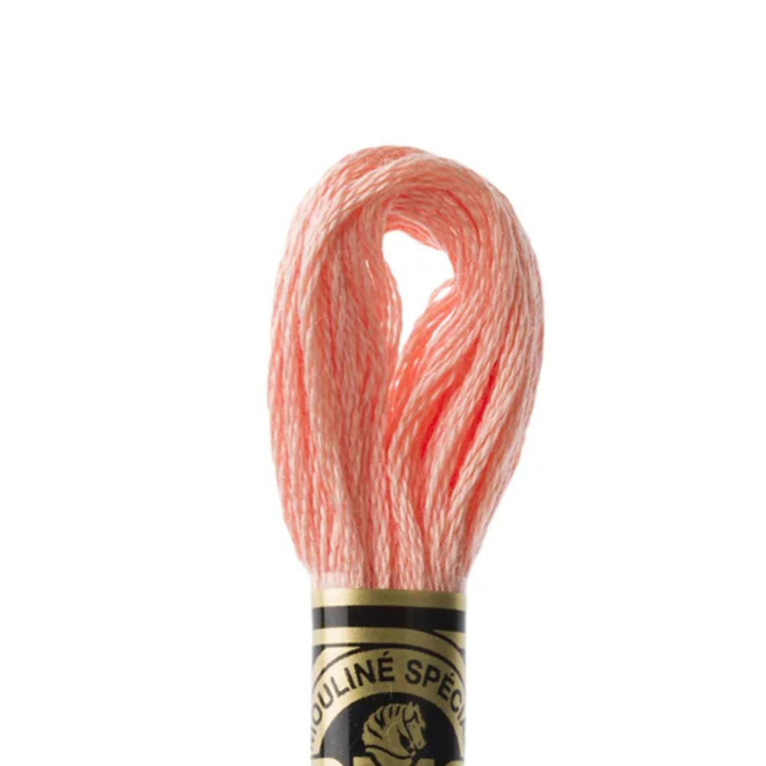 DMC Stranded Cotton Mouliné Spécial Embroidery Thread (3824)