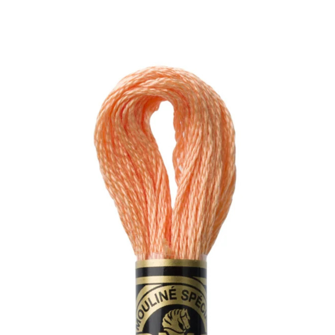 DMC Stranded Cotton Mouliné Spécial Embroidery Thread (3825)
