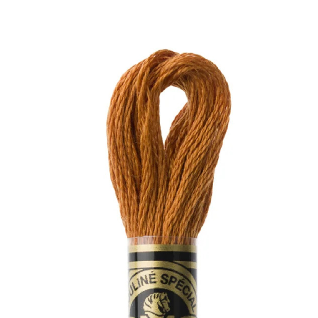 DMC Stranded Cotton Mouliné Spécial Embroidery Thread (3826)