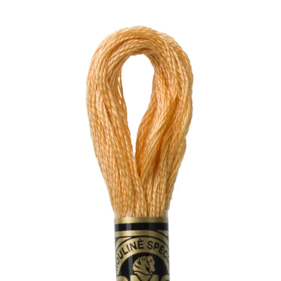 DMC Stranded Cotton Mouliné Spécial Embroidery Thread (3827)