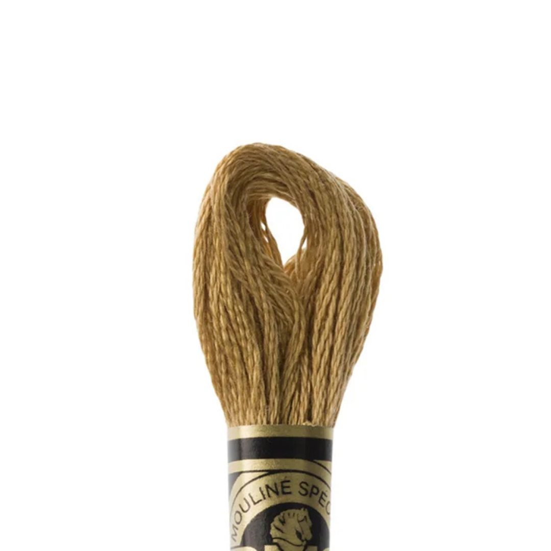 DMC Stranded Cotton Mouliné Spécial Embroidery Thread (3828)