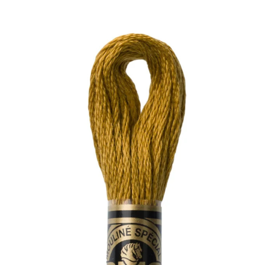 DMC Stranded Cotton Mouliné Spécial Embroidery Thread (3829)