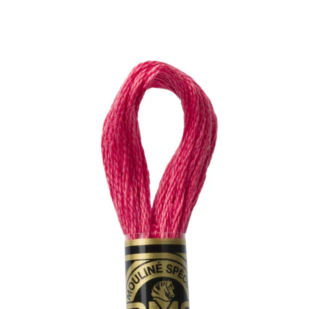 DMC Stranded Cotton Mouliné Spécial Embroidery Thread (3832)