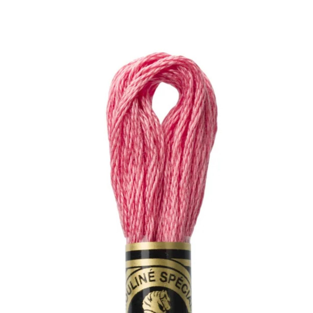 DMC Stranded Cotton Mouliné Spécial Embroidery Thread (3833)