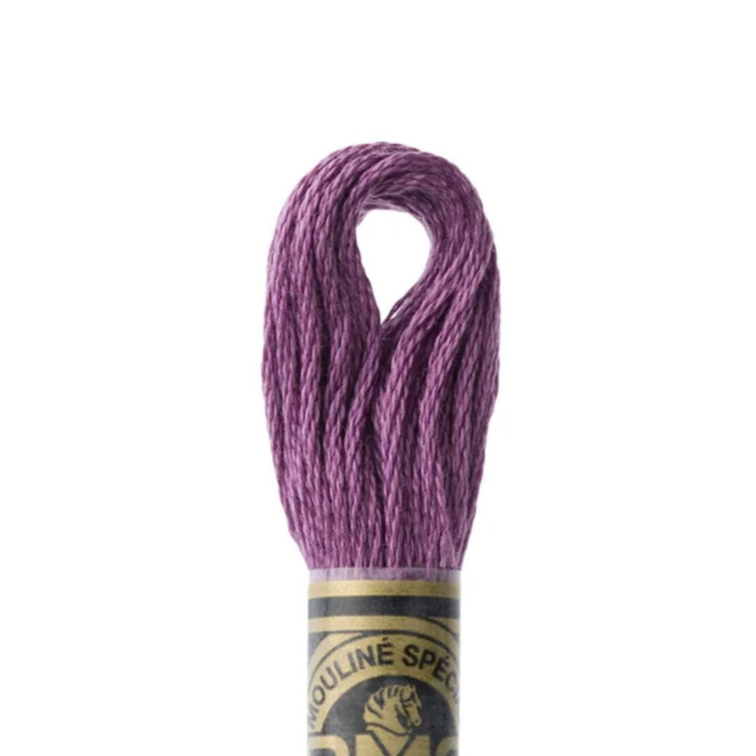 DMC Stranded Cotton Mouliné Spécial Embroidery Thread (3835)