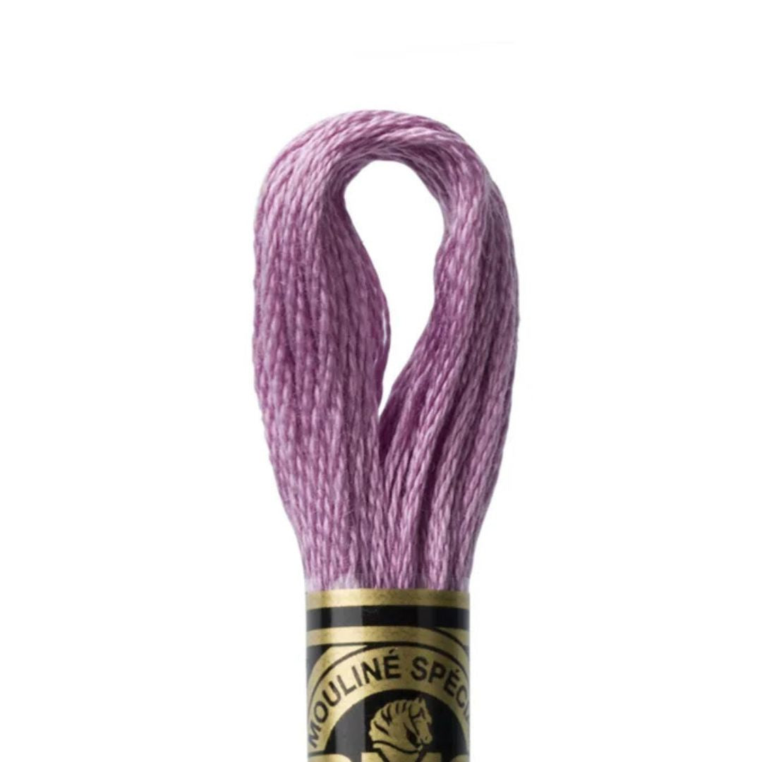 DMC Stranded Cotton Mouliné Spécial Embroidery Thread (3836)