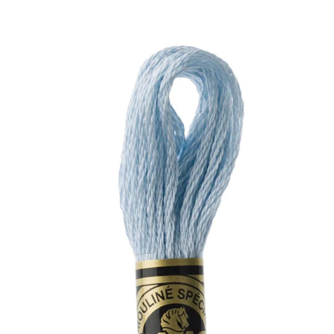 DMC Stranded Cotton Mouliné Spécial Embroidery Thread (3841)