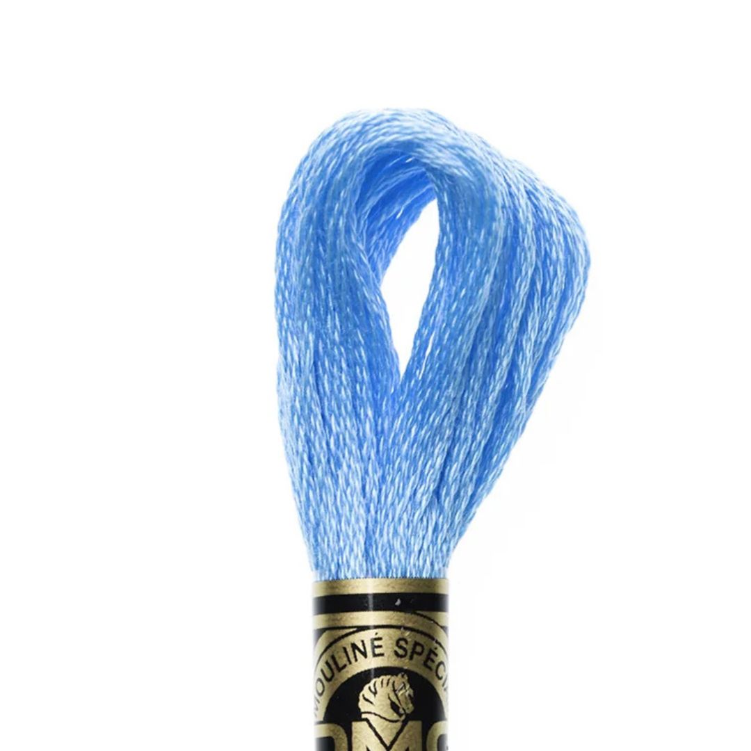 DMC Stranded Cotton Mouliné Spécial Embroidery Thread (3846)