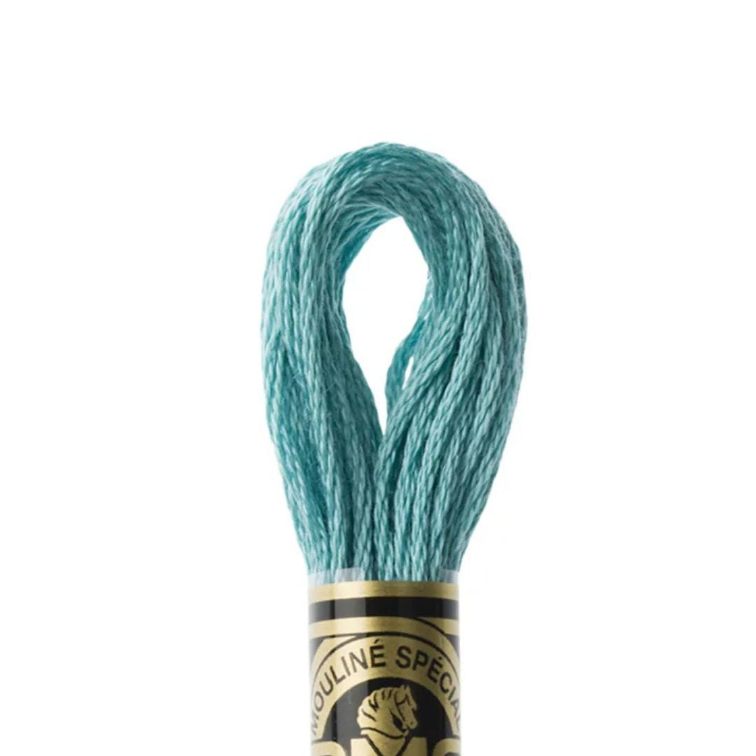 DMC Stranded Cotton Mouliné Spécial Embroidery Thread (3849)