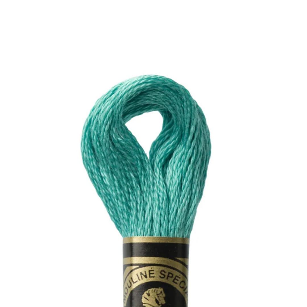 DMC Stranded Cotton Mouliné Spécial Embroidery Thread (3851)
