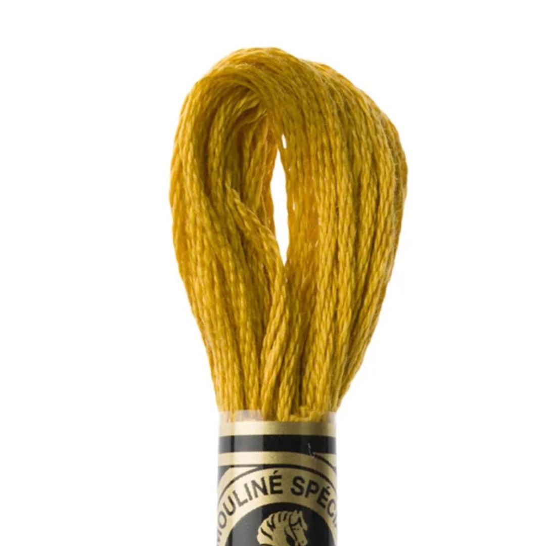 DMC Stranded Cotton Mouliné Spécial Embroidery Thread (3852)