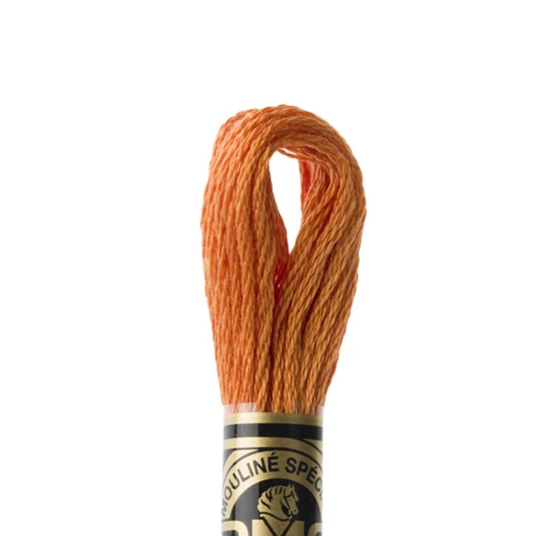 DMC Stranded Cotton Mouliné Spécial Embroidery Thread (3853)