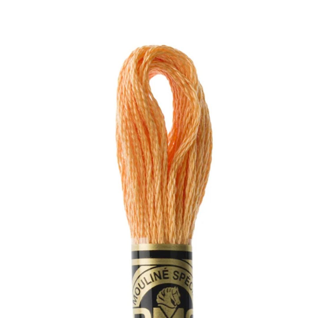 DMC Stranded Cotton Mouliné Spécial Embroidery Thread (3854)