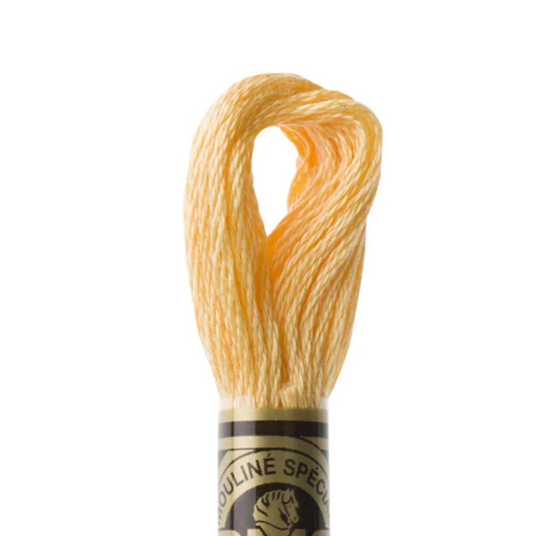 DMC Stranded Cotton Mouliné Spécial Embroidery Thread (3855)