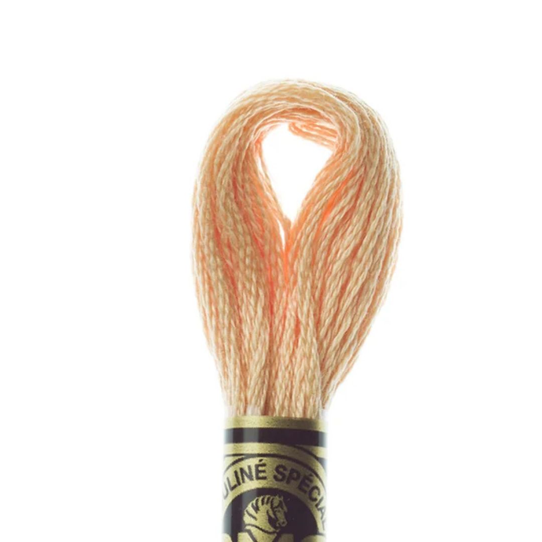 DMC Stranded Cotton Mouliné Spécial Embroidery Thread (3856)