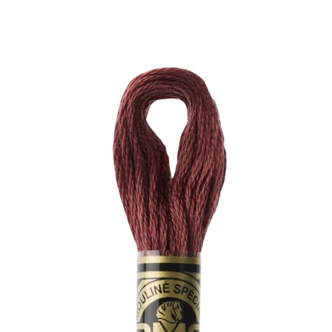 DMC Stranded Cotton Mouliné Spécial Embroidery Thread (3858)