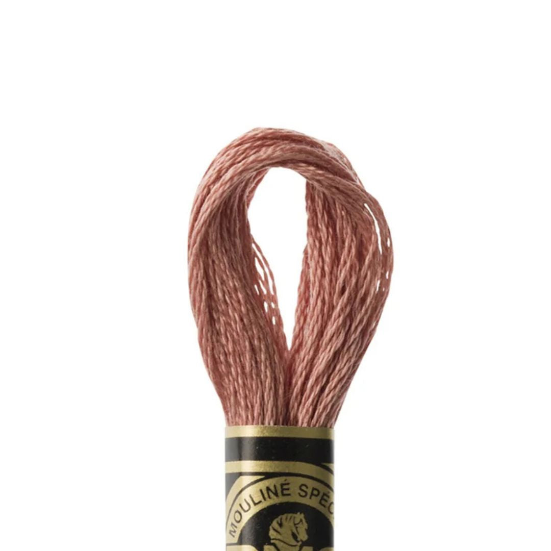 DMC Stranded Cotton Mouliné Spécial Embroidery Thread (3859)