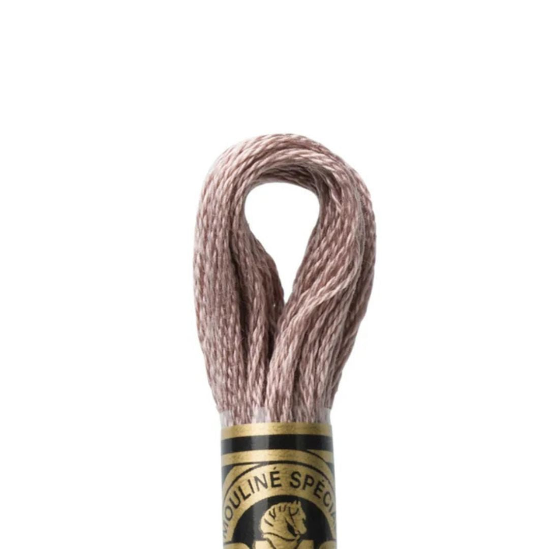 DMC Stranded Cotton Mouliné Spécial Embroidery Thread (3861)