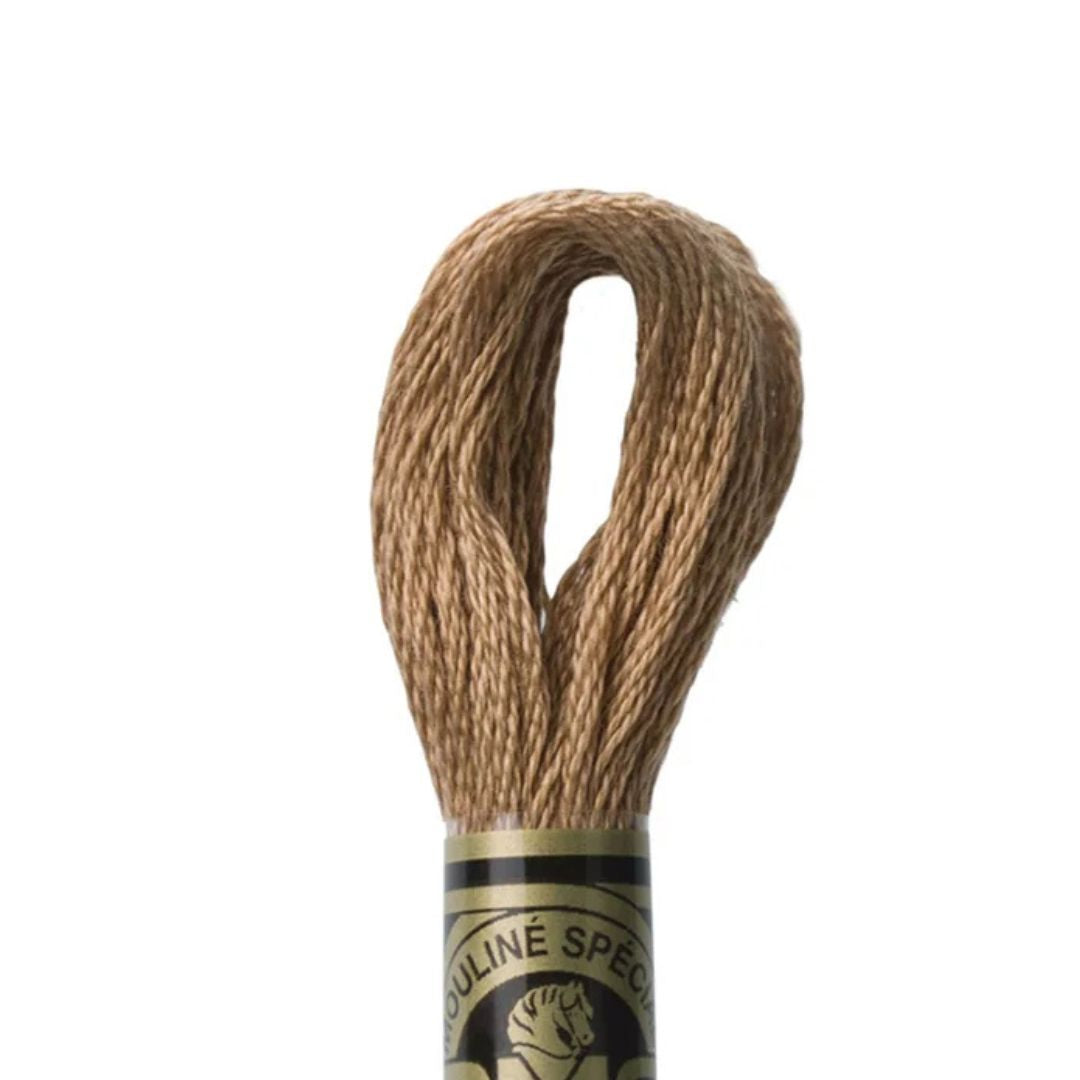 DMC Stranded Cotton Mouliné Spécial Embroidery Thread (3863)