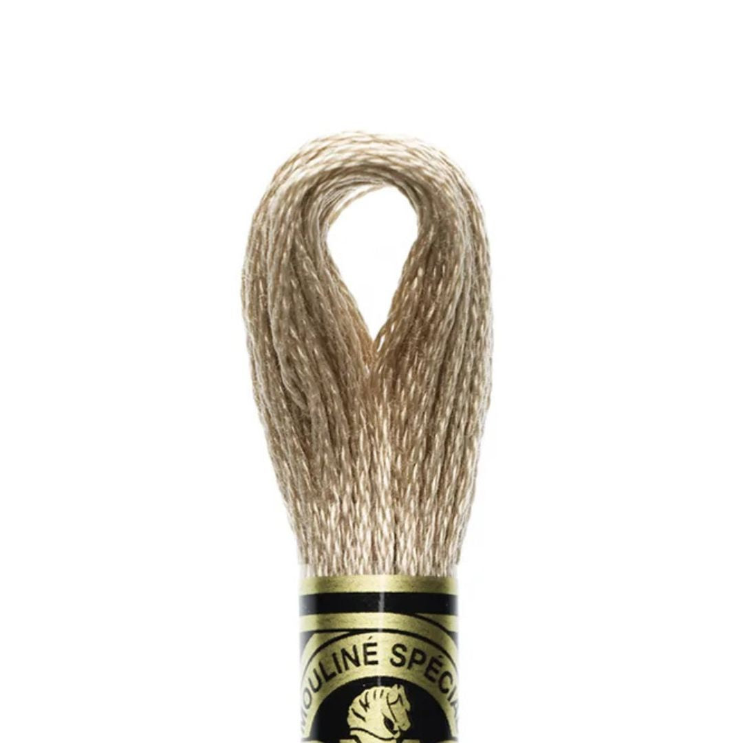 DMC Stranded Cotton Mouliné Spécial Embroidery Thread (3864)