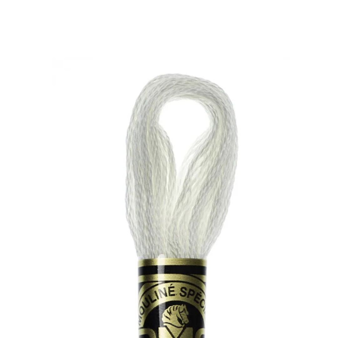 DMC Stranded Cotton Mouliné Spécial Embroidery Thread (3865)