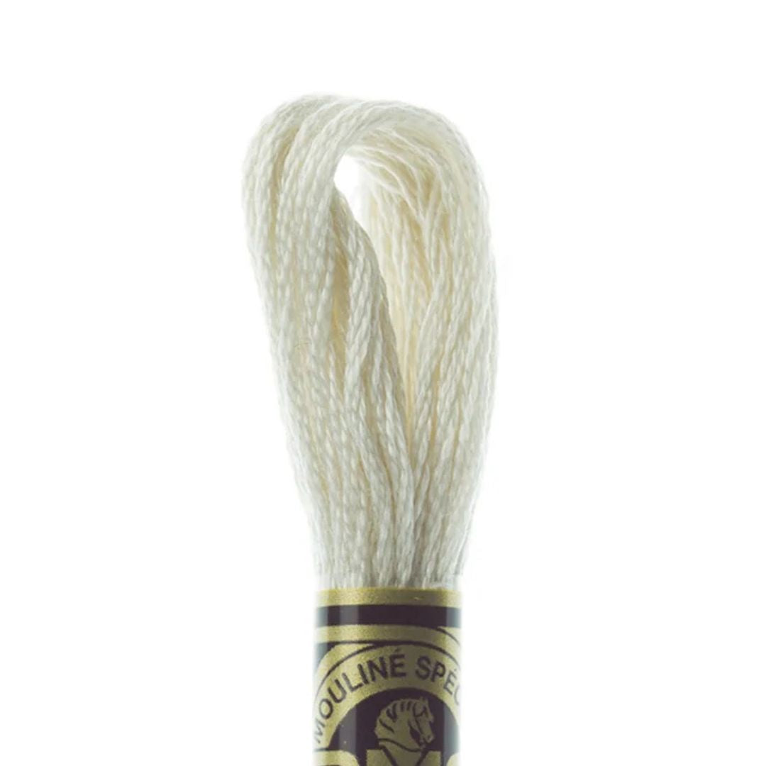 DMC Stranded Cotton Mouliné Spécial Embroidery Thread (3866)