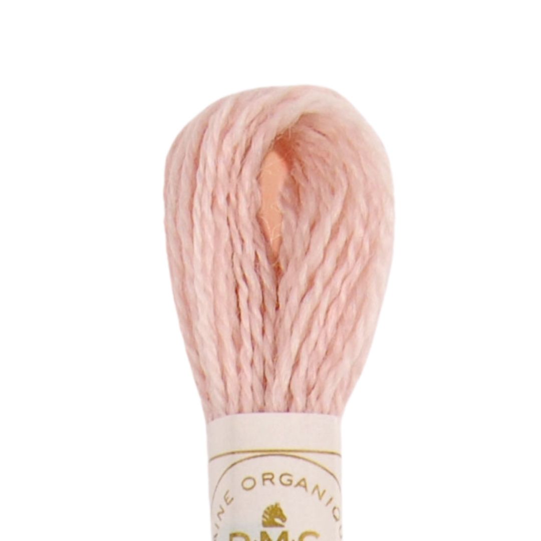 DMC Eco Vita Naturally Dyed Organic Wool Embroidery Thread (401)