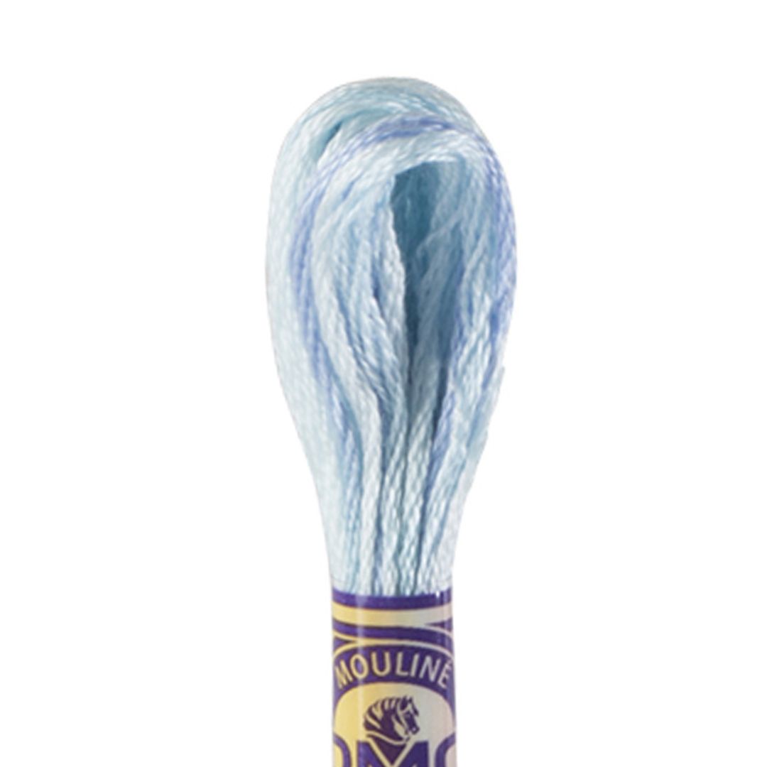 DMC Mouliné Variations Embroidery Thread (4020)