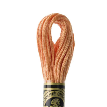 DMC Stranded Cotton Mouliné Spécial Embroidery Thread (402)