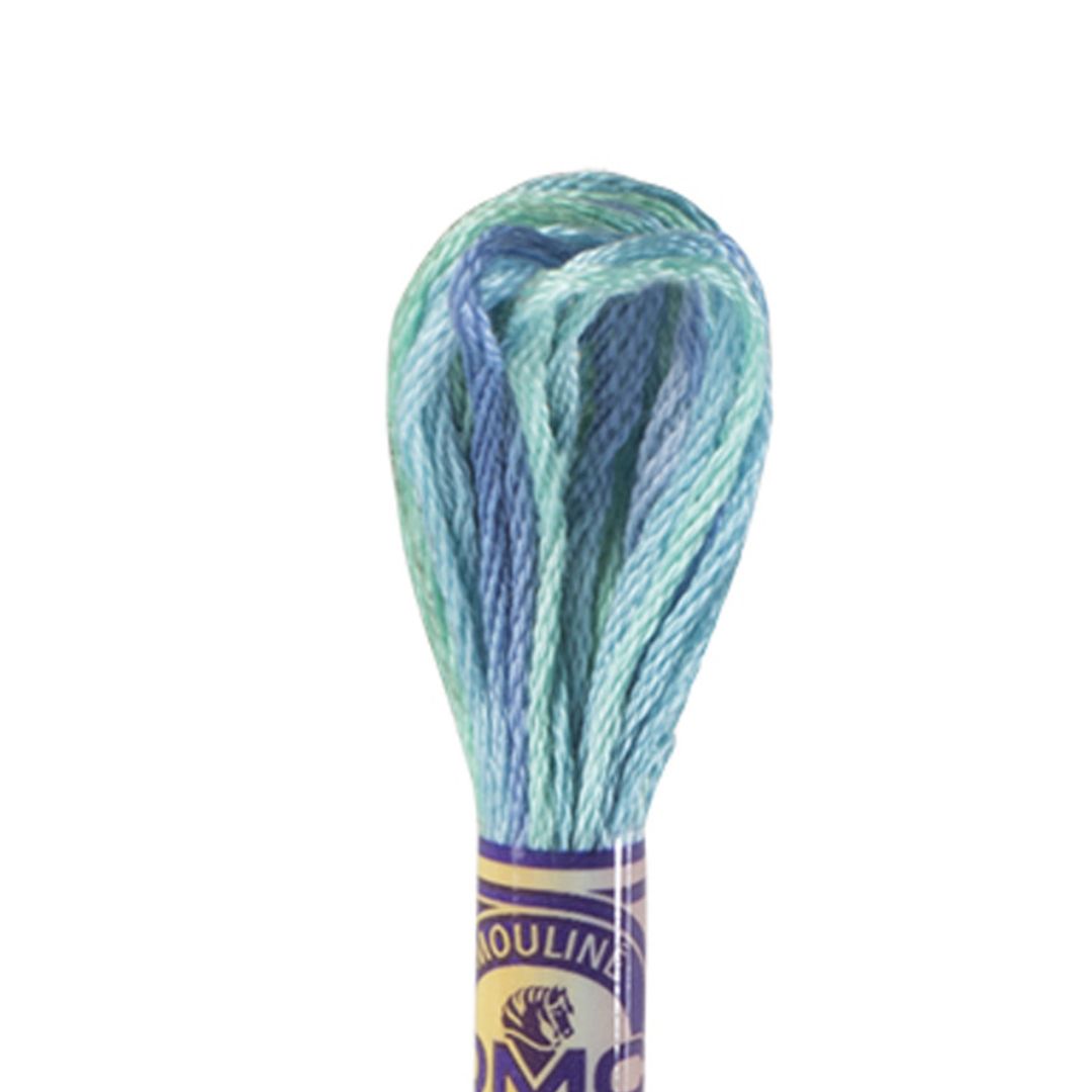 DMC Mouliné Variations Embroidery Thread (4030)