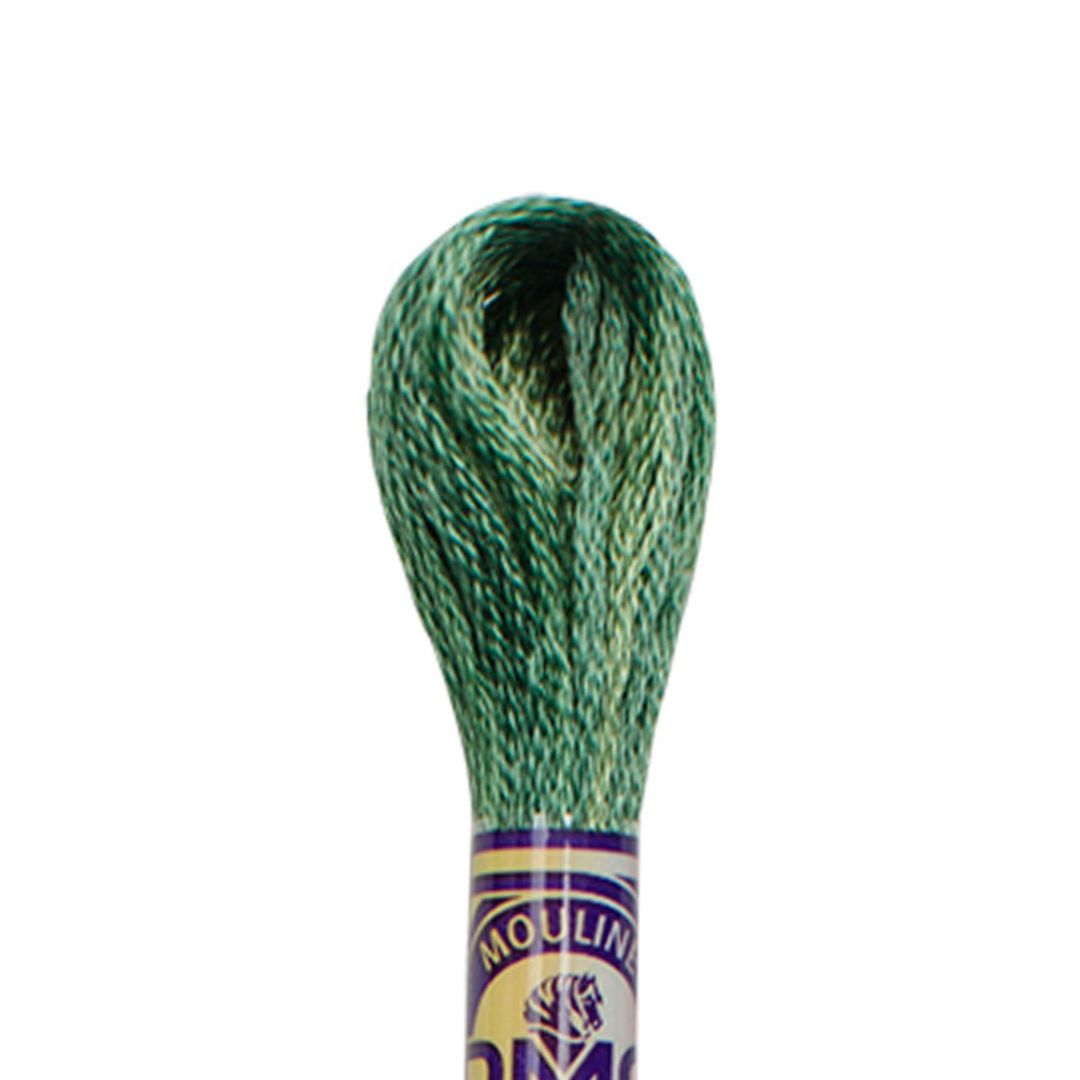 DMC Mouliné Variations Embroidery Thread (4045)
