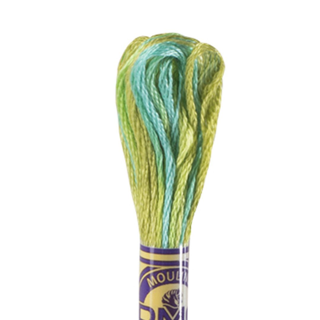 DMC Mouliné Variations Embroidery Thread (4050)