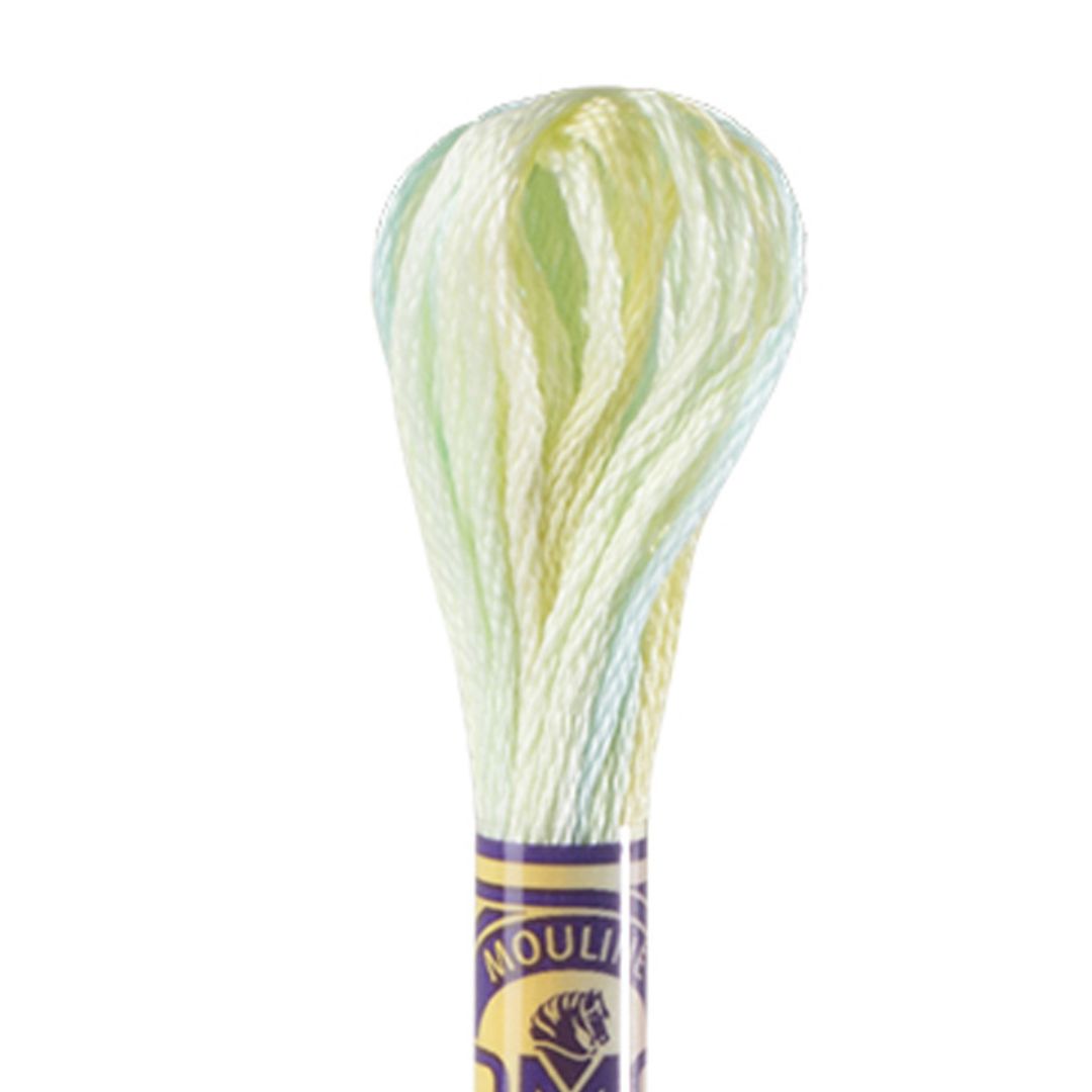 DMC Mouliné Variations Embroidery Thread (4060)