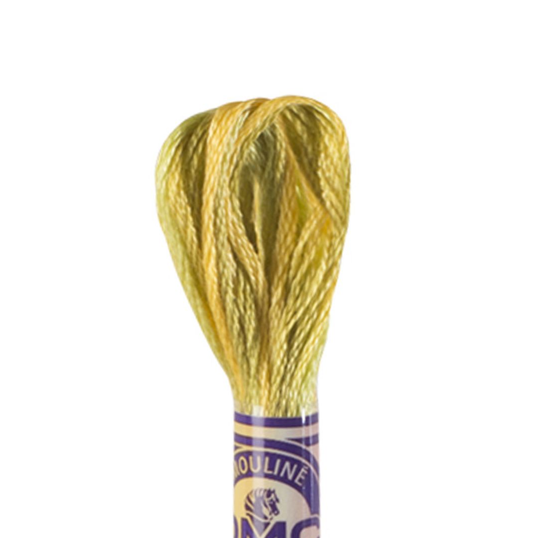 DMC Mouliné Variations Embroidery Thread (4070)